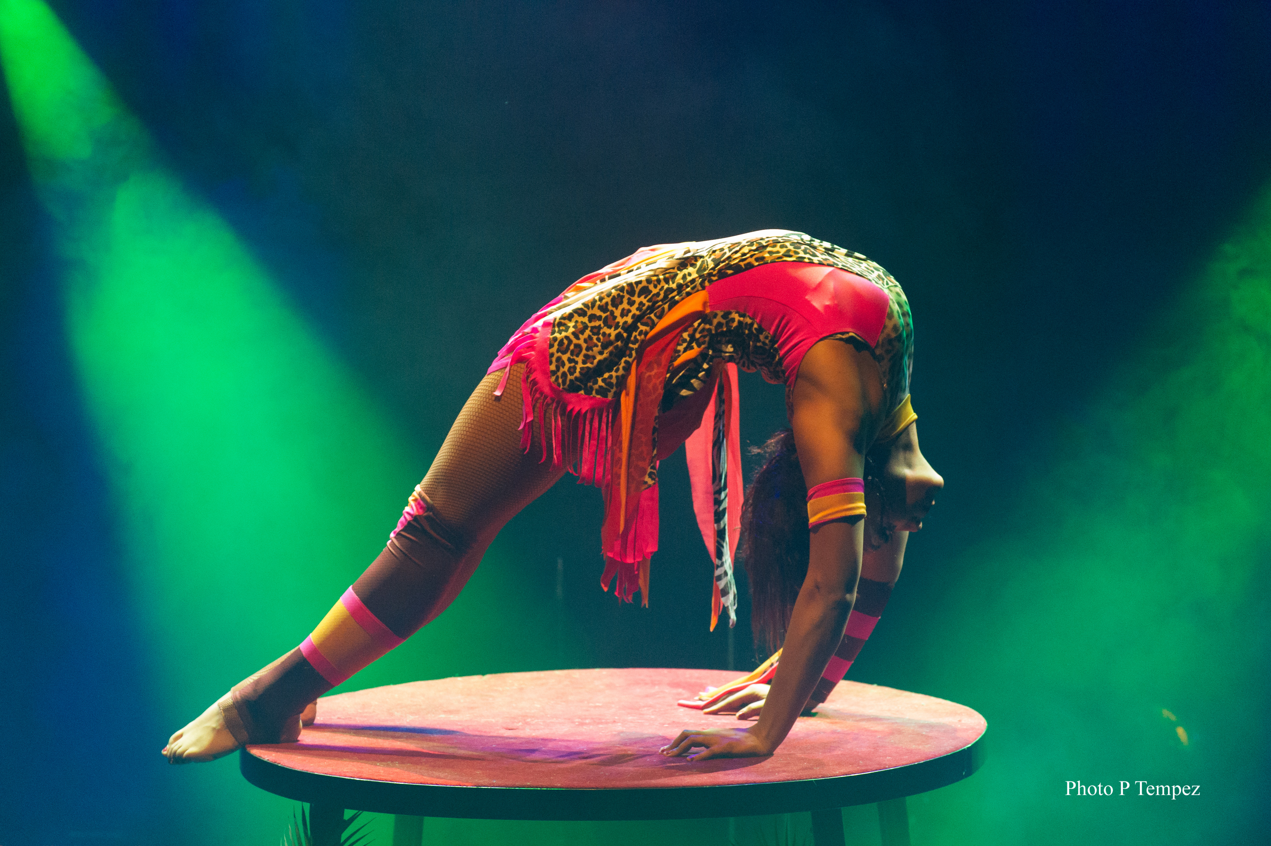 Numéros de cirque - Photo 2