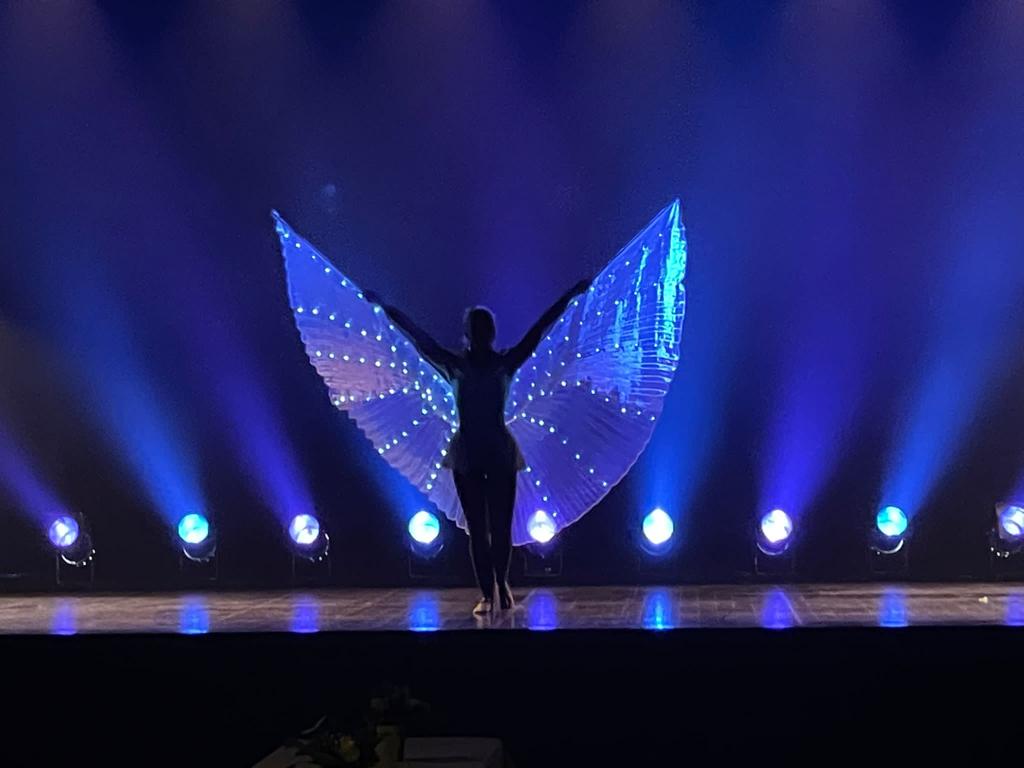 Numéros de cirque - Photo 10